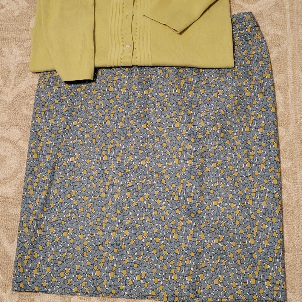 Talbots pencil skirt